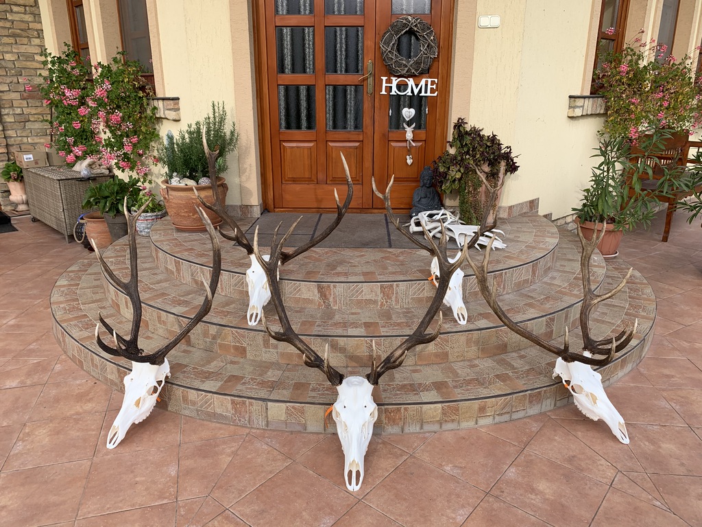 27369F07 1262 48DE 8569 04C62F8BA692_1_105_c