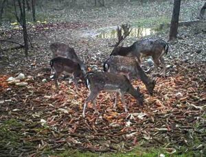 beolvasott_20250530-2018-03