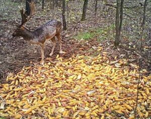 beolvasott_20250530-2018-05