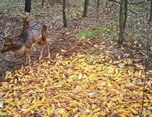 beolvasott_20250530-2018-06