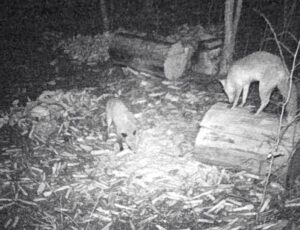 beolvasott_20250530-2018-07