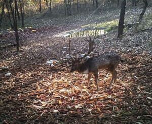 beolvasott_20250530-2018-10