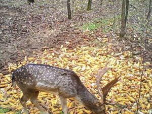 beolvasott_20250530-2018-11