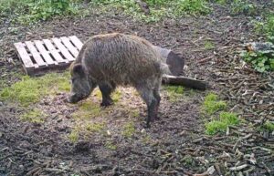 beolvasott_20250530-2216-03