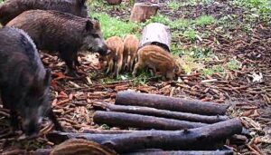 beolvasott_20250530-2216-05