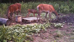 beolvasott_20250530-2216-07