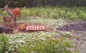 beolvasott_20250530-2216-08