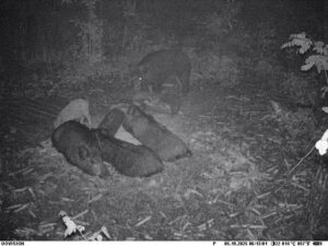 beolvasott_20250530-2216-09