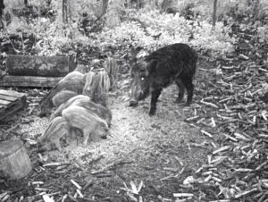 beolvasott_20250530-2216-10