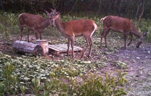 beolvasott_20250530-2216-11