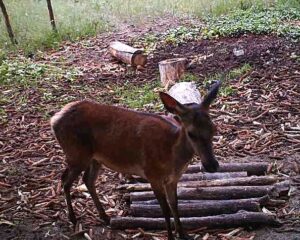 beolvasott_20250530-2216-12