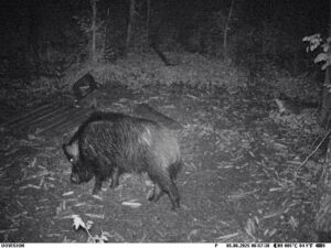 beolvasott_20250530-2216-13