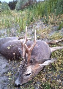 beolvasott_20250530-2216-14