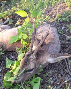 beolvasott_20250530-2216-15