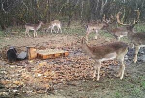 beolvasott_20250530-2216-16