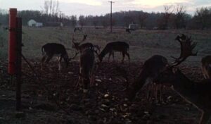 beolvasott_20250530-2216-18