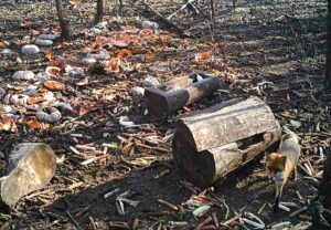 beolvasott_20250530-2216-20