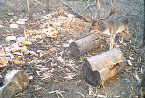 beolvasott_20250530-2216-21