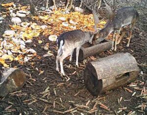 beolvasott_20250530-2216-22