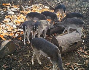 beolvasott_20250530-2216-23