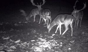 beolvasott_20250530-2216-24