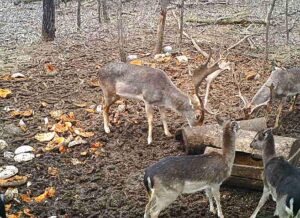 beolvasott_20250530-2216-25