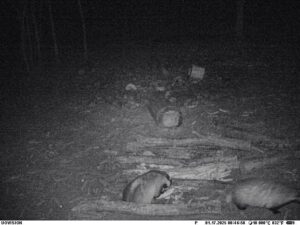 beolvasott_20250530-2216-26