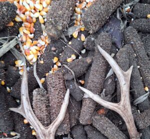 beolvasott_20250530-2216-27