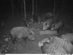 beolvasott_20250530-2216-28