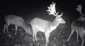 beolvasott_20250530-2216-29