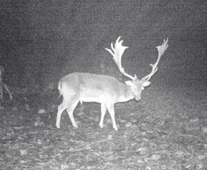 beolvasott_20250530-2216-30