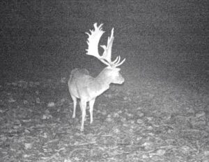 beolvasott_20250530-2216-31