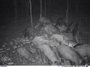 beolvasott_20250530-2216-32