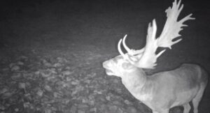 beolvasott_20250530-2216-33