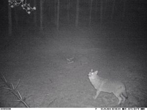 beolvasott_20250530-2216-34