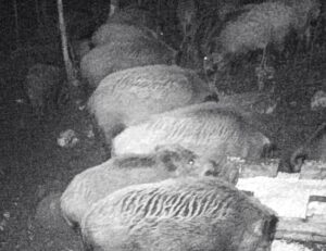 beolvasott_20250530-2216-35