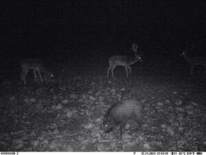 beolvasott_20250530-2216-36