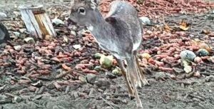 beolvasott_20250530-2216-40