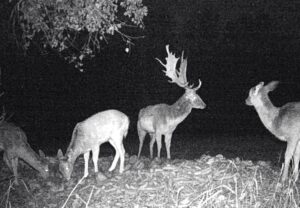 beolvasott_20250530-2216-41