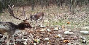 beolvasott_20250530-2216-42