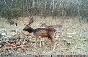 beolvasott_20250530-2216-44